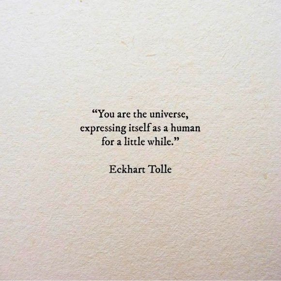 Meet your Posher, Sara - Picture 1 of 1